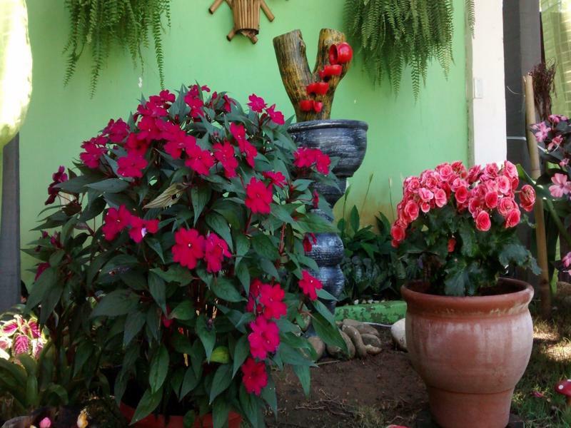 Pousada Flora Buzios Exteriér fotografie